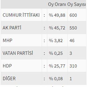 İşte ülke ülke yurtdışı seçim sonuçları! 211