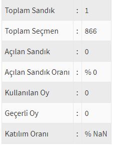 İşte ülke ülke yurtdışı seçim sonuçları! 212