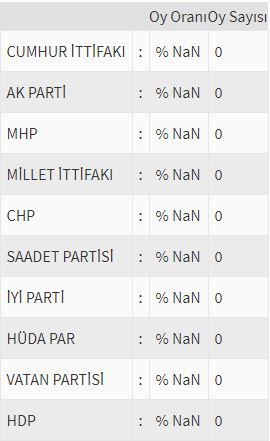 İşte ülke ülke yurtdışı seçim sonuçları! 213