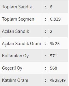 İşte ülke ülke yurtdışı seçim sonuçları! 216