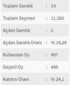 İşte ülke ülke yurtdışı seçim sonuçları! 218