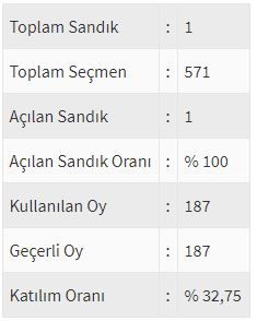 İşte ülke ülke yurtdışı seçim sonuçları! 220