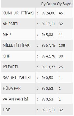 İşte ülke ülke yurtdışı seçim sonuçları! 221