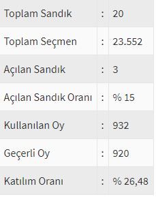 İşte ülke ülke yurtdışı seçim sonuçları! 226