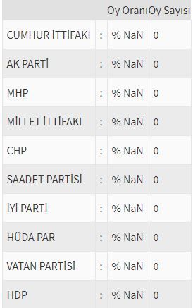 İşte ülke ülke yurtdışı seçim sonuçları! 229