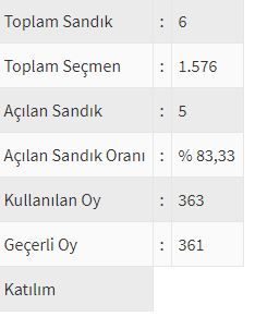 İşte ülke ülke yurtdışı seçim sonuçları! 230