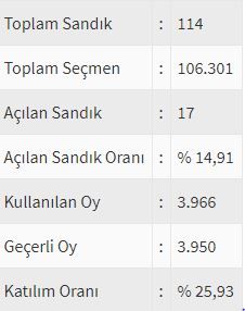 İşte ülke ülke yurtdışı seçim sonuçları! 3