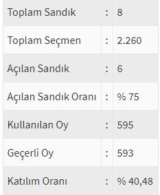 İşte ülke ülke yurtdışı seçim sonuçları! 29