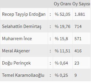 İşte ülke ülke yurtdışı seçim sonuçları! 31
