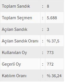 İşte ülke ülke yurtdışı seçim sonuçları! 32