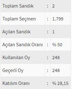 İşte ülke ülke yurtdışı seçim sonuçları! 38