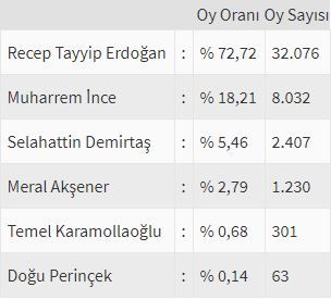 İşte ülke ülke yurtdışı seçim sonuçları! 41