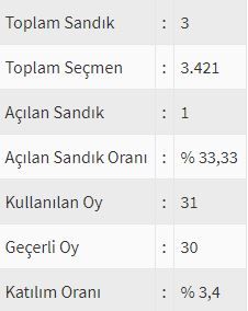 İşte ülke ülke yurtdışı seçim sonuçları! 42