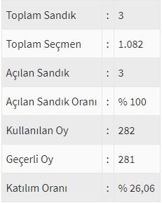 İşte ülke ülke yurtdışı seçim sonuçları! 44