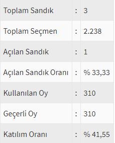 İşte ülke ülke yurtdışı seçim sonuçları! 46