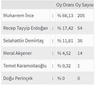 İşte ülke ülke yurtdışı seçim sonuçları! 47