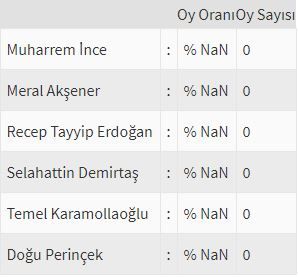 İşte ülke ülke yurtdışı seçim sonuçları! 49