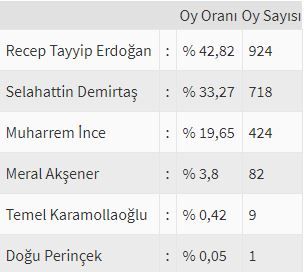 İşte ülke ülke yurtdışı seçim sonuçları! 53