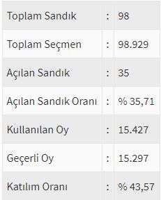 İşte ülke ülke yurtdışı seçim sonuçları! 54