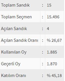İşte ülke ülke yurtdışı seçim sonuçları! 56