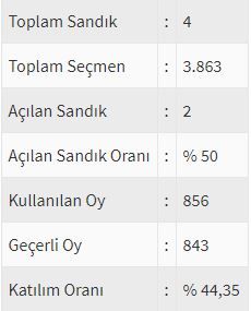 İşte ülke ülke yurtdışı seçim sonuçları! 58