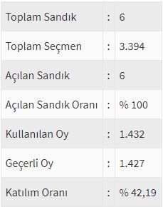 İşte ülke ülke yurtdışı seçim sonuçları! 62