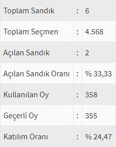 İşte ülke ülke yurtdışı seçim sonuçları! 64