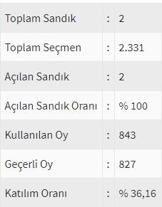 İşte ülke ülke yurtdışı seçim sonuçları! 66