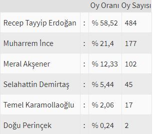 İşte ülke ülke yurtdışı seçim sonuçları! 67