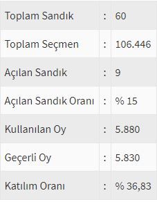 İşte ülke ülke yurtdışı seçim sonuçları! 72
