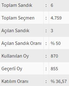 İşte ülke ülke yurtdışı seçim sonuçları! 74