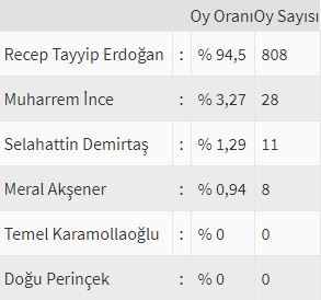 İşte ülke ülke yurtdışı seçim sonuçları! 75