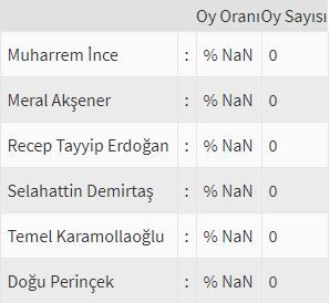 İşte ülke ülke yurtdışı seçim sonuçları! 79