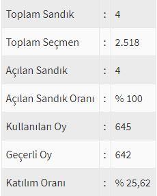 İşte ülke ülke yurtdışı seçim sonuçları! 80