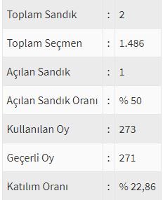 İşte ülke ülke yurtdışı seçim sonuçları! 84
