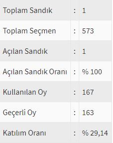 İşte ülke ülke yurtdışı seçim sonuçları! 86