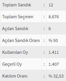 İşte ülke ülke yurtdışı seçim sonuçları! 88