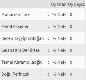 İşte ülke ülke yurtdışı seçim sonuçları! 93