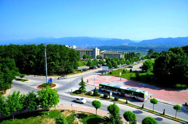 IQ ortalaması en yüksek 20 şehir belli oldu! 11
