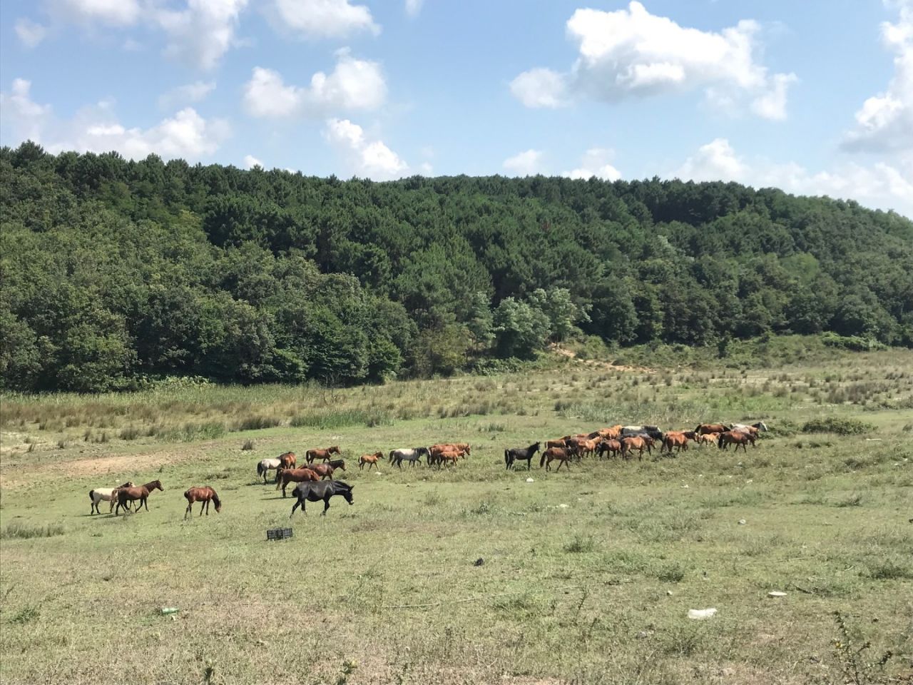 Burası Türkiye'nin ''Hollywood''u Oluyor 2