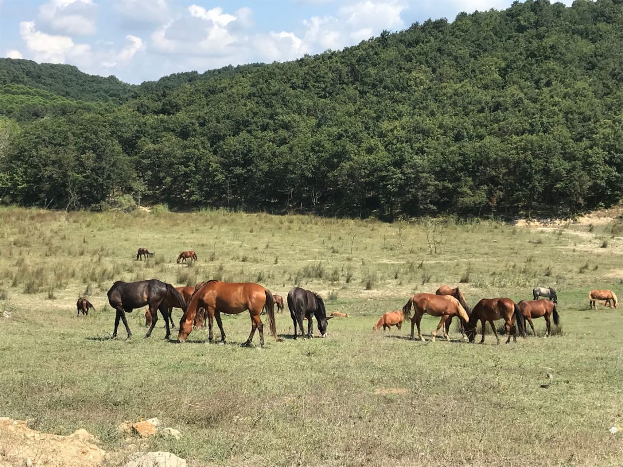 Burası Türkiye'nin ''Hollywood''u Oluyor 4