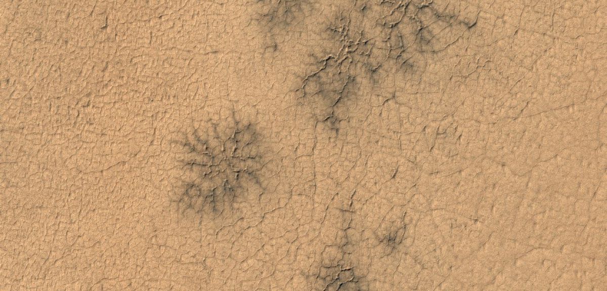 Mars'taki kara örümceklerden yeni görüntü! 8