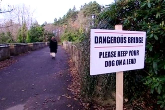 Yüzlerce köpeğin atladığı gizemli 'İntihar Köprüsü' 7