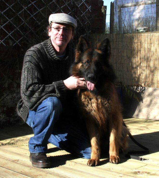 Yüzlerce köpeğin atladığı gizemli 'İntihar Köprüsü' 12
