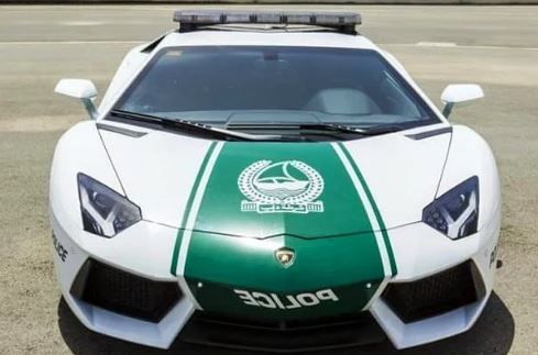 Zengin Dubaililerin şoke eden aktiviteleri! 11