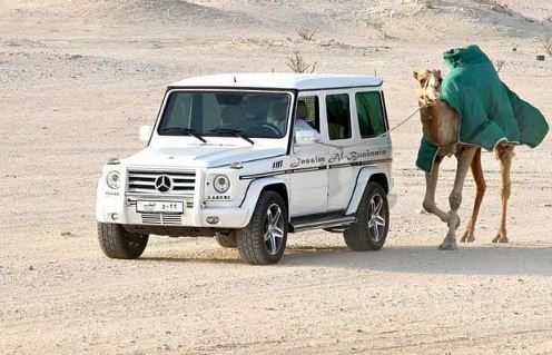 Zengin Dubaililerin şoke eden aktiviteleri! 16