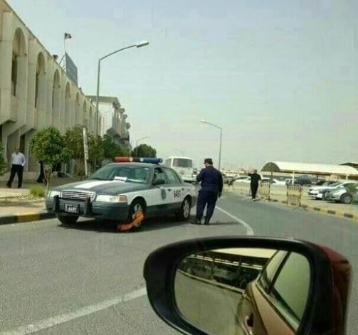Zengin Dubaililerin şoke eden aktiviteleri! 13