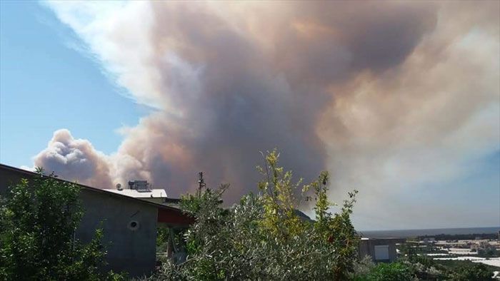 Antalya'daki yangının dehşete düşüren görüntüleri! 9