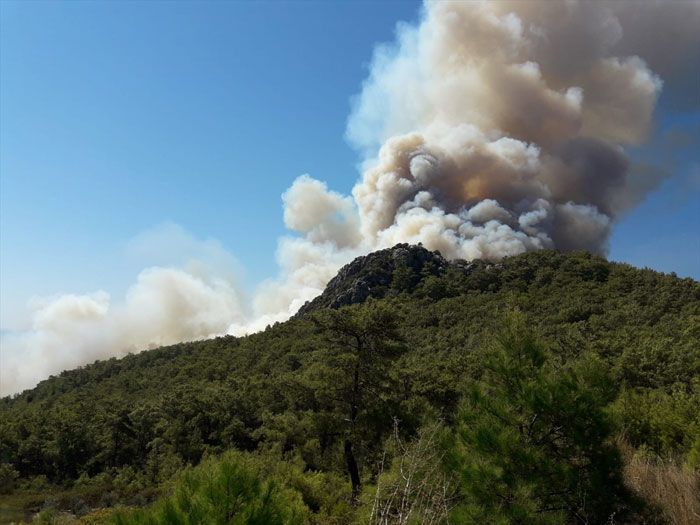Antalya'daki yangının dehşete düşüren görüntüleri! 11