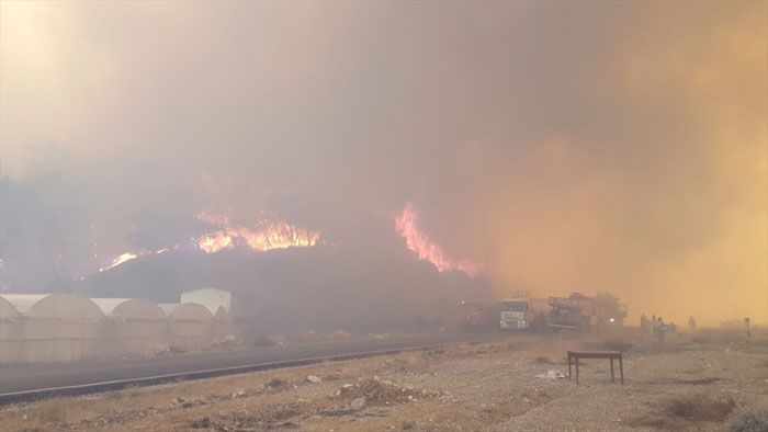 Antalya'daki yangının dehşete düşüren görüntüleri! 12